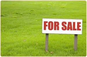 Sumber Ilustrasi: Istimewa